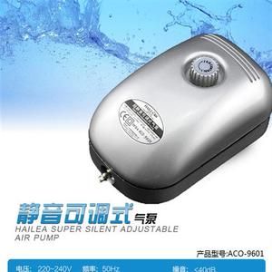龍魚身體傾斜怎么回事啊（龍魚身體傾斜怎么回事啊視頻）