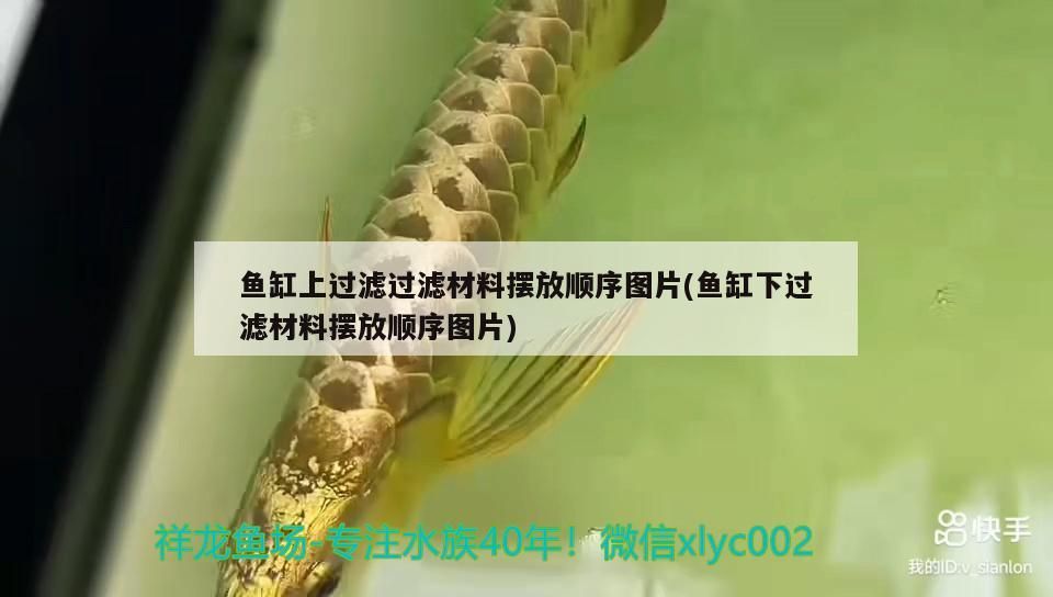 魚缸上過濾過濾材料擺放順序圖片(魚缸下過濾材料擺放順序圖片)