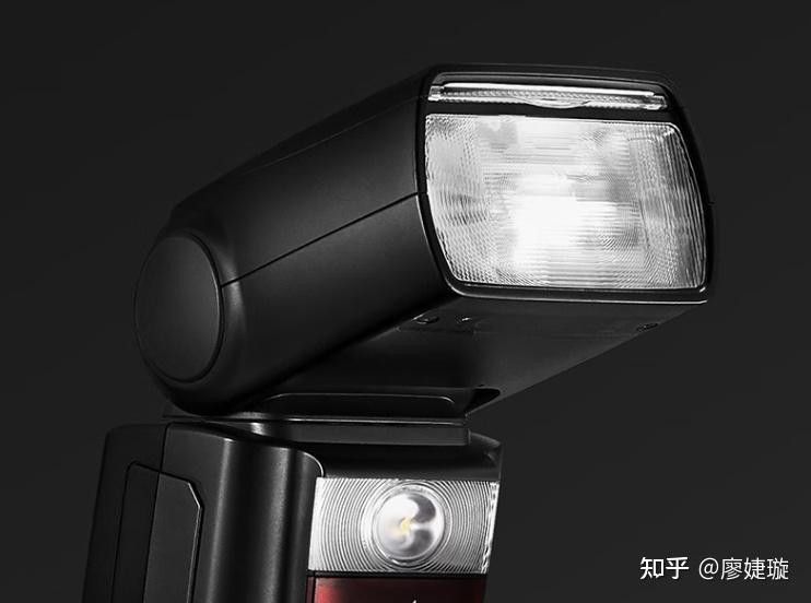 哪種引閃器品牌最好？（2025年最建議買的10個引閃器品牌推薦） 哪種引閃器品牌最好？（2025年最建議買的10個引閃器品牌推薦） 龍魚百科 第8張