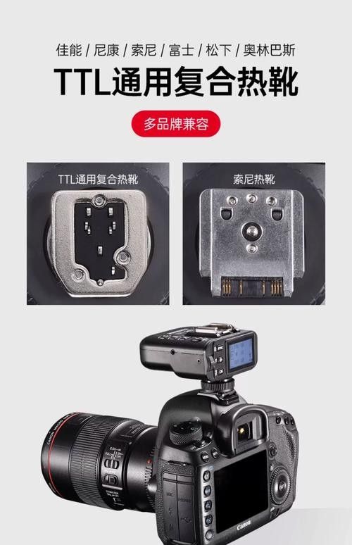 哪種引閃器品牌最好？（2025年最建議買的10個引閃器品牌推薦） 哪種引閃器品牌最好？（2025年最建議買的10個引閃器品牌推薦） 龍魚百科 第5張