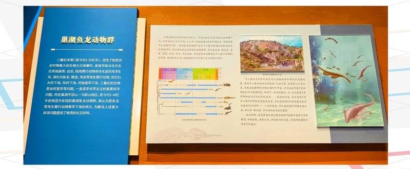 嶗山區徐順子水族店（嶗山區徐順子水族店經營產品：零售：觀賞魚,依法須經批準的項目）