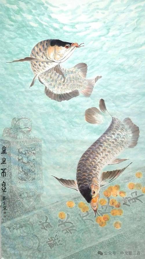 哪里可以找到高清的龍魚攝影圖（如何找到高清的龍魚攝影圖）