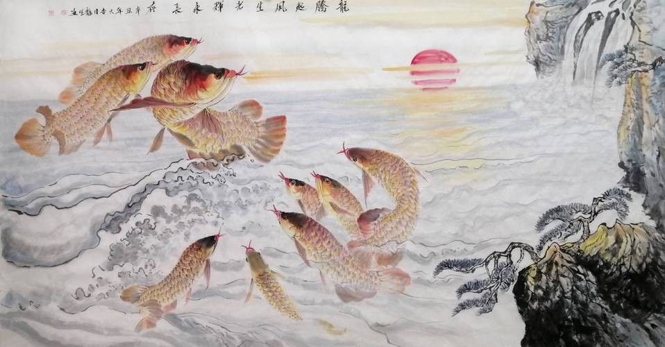 哪里可以找到高清的龍魚攝影圖（如何找到高清的龍魚攝影圖）
