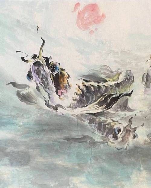 哪里可以找到高清的龍魚攝影圖（如何找到高清的龍魚攝影圖）