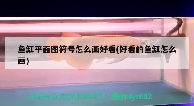 魚缸平面圖符號怎么畫好看(好看的魚缸怎么畫)（魚缸平面圖符號怎么畫好看） 魚缸平面圖符號怎么畫好看(好看的魚缸怎么畫)（魚缸平面圖符號怎么畫好看） 觀賞魚百科