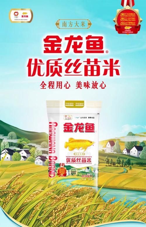金龍魚特選絲苗米有哪些口味 金龍魚特選絲苗米有哪些口味 龍魚百科 第6張