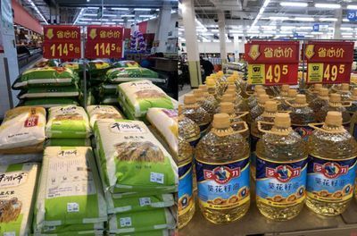 紅龍魚圖片價(jià)格大全圖解(紅龍魚品相圖解) 紅龍魚圖片價(jià)格大全圖解(紅龍魚品相圖解) 觀賞魚百科