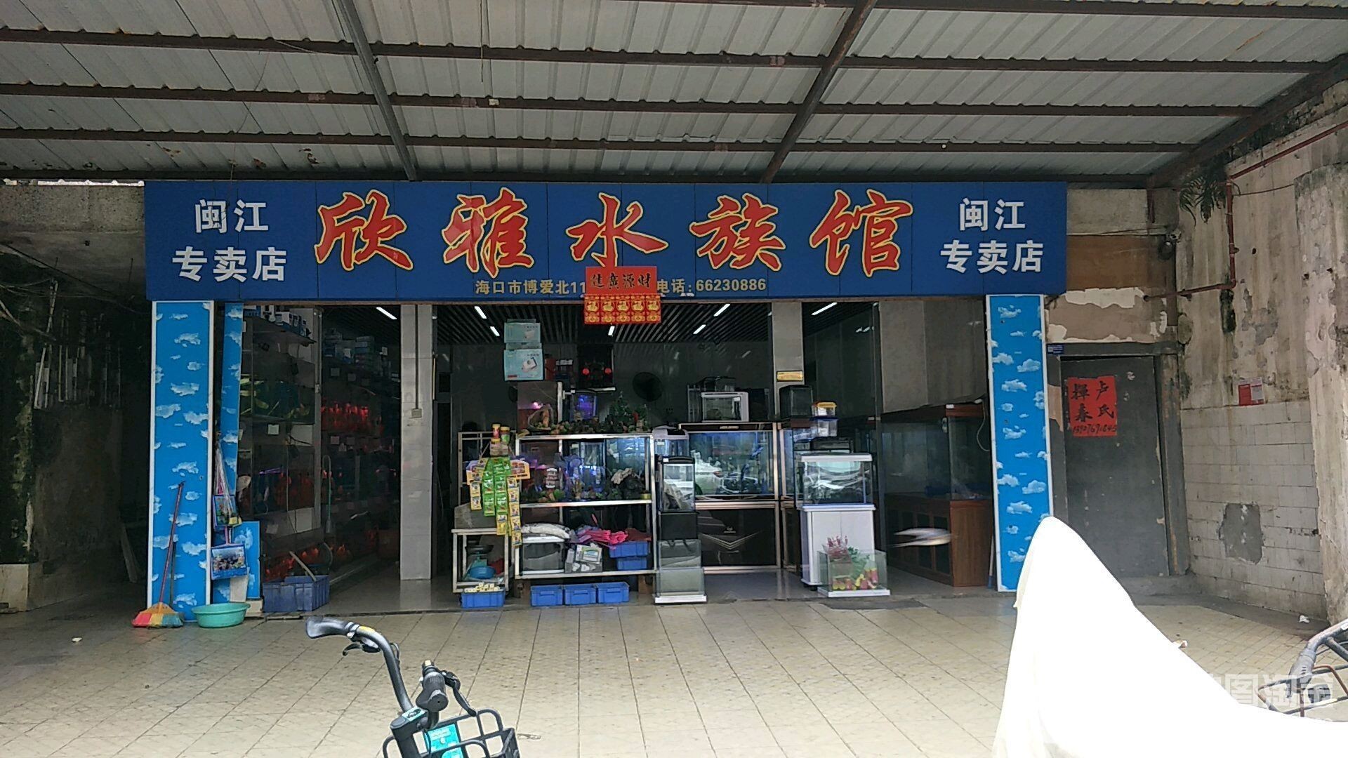 美蘭哪個水族館龍魚好？祥龍魚場龍魚