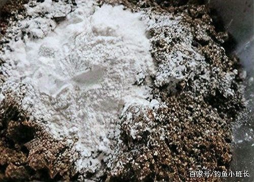 哪些活餌料適合鹽水浸泡法？