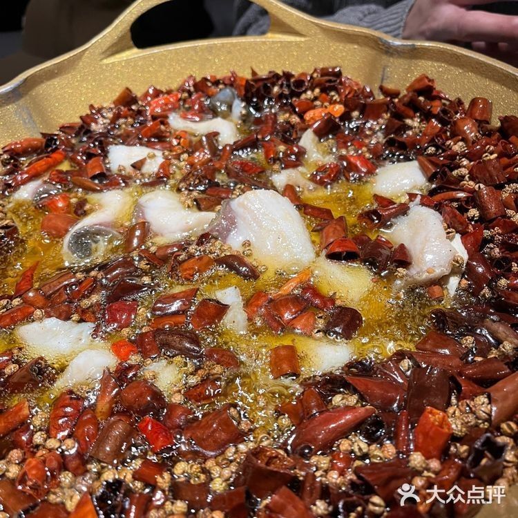 龍人居的水煮魚有哪些口味 龍人居的水煮魚有哪些口味 龍魚百科 第10張