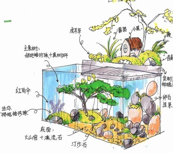 金龍魚與其他觀賞魚混養推薦