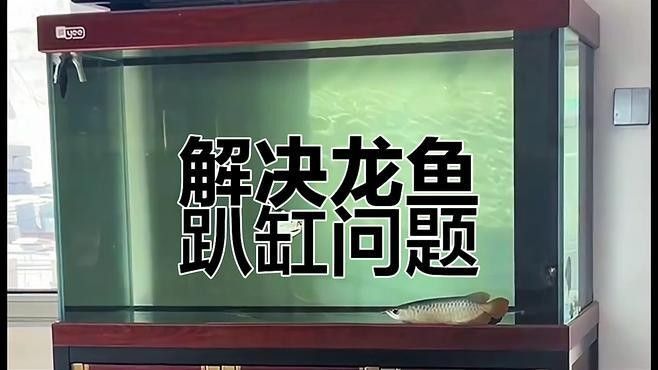 龍魚趴缸怎么辦？