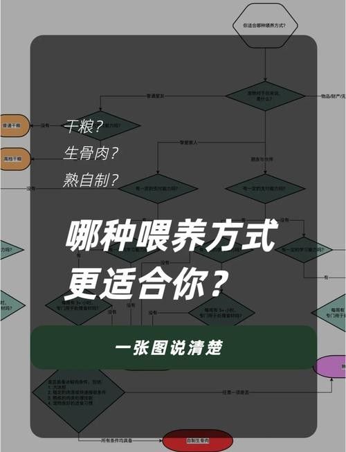 如何分區投喂以避免搶食 如何分區投喂以避免搶食 龍魚百科 第6張