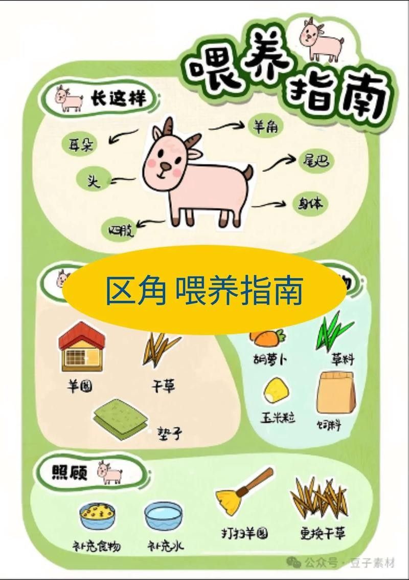 如何分區投喂以避免搶食 如何分區投喂以避免搶食 龍魚百科 第2張