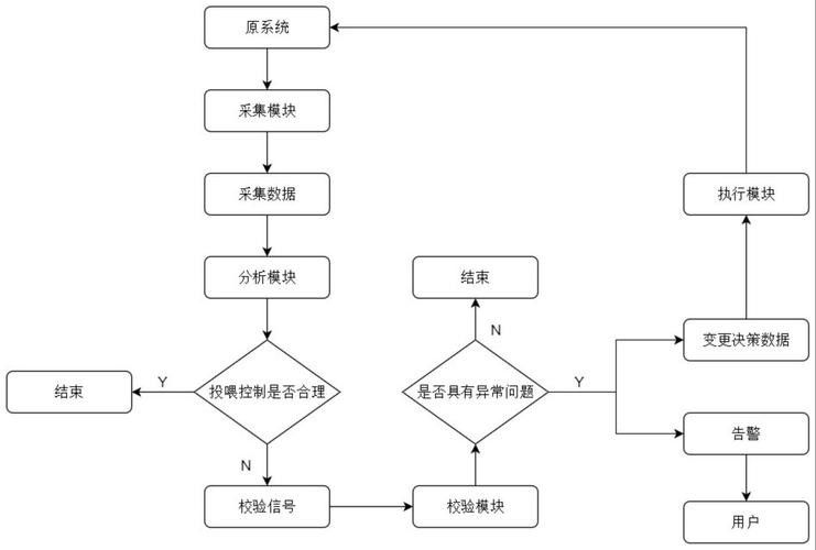 如何分區投喂以避免搶食 如何分區投喂以避免搶食 龍魚百科 第5張