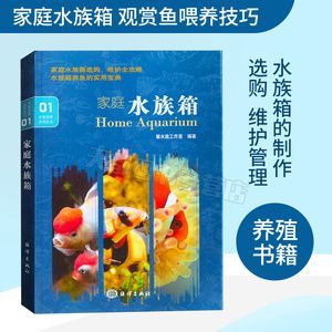 六角龍魚不吃東西怎么辦呀(六角龍魚不吃東西怎么辦?) 觀賞魚百科 第1張 六角龍魚不吃東西怎么辦呀(六角龍魚不吃東西怎么辦?) 六角龍魚不吃東西怎么辦呀(六角龍魚不吃東西怎么辦?) 觀賞魚百科 第1張