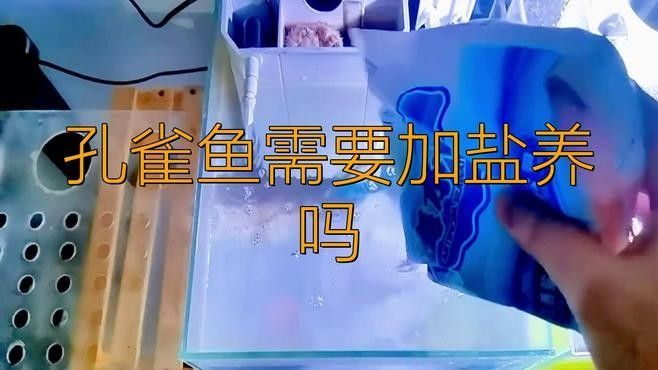 孔雀魚混養可以加鹽嗎？ 孔雀魚混養可以加鹽嗎？ 龍魚百科 第3張