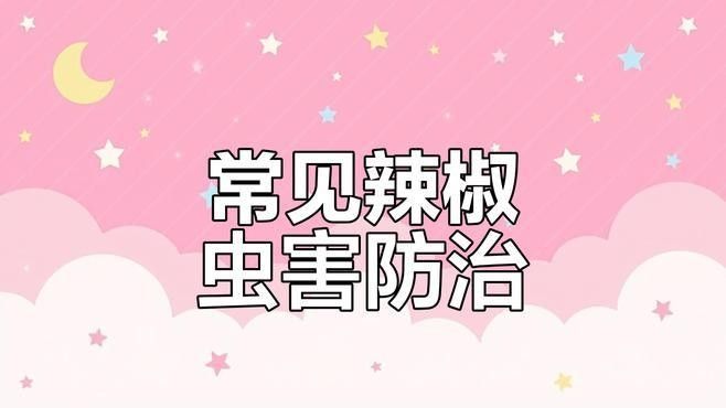 如何識別紅龍辣椒的病蟲害？