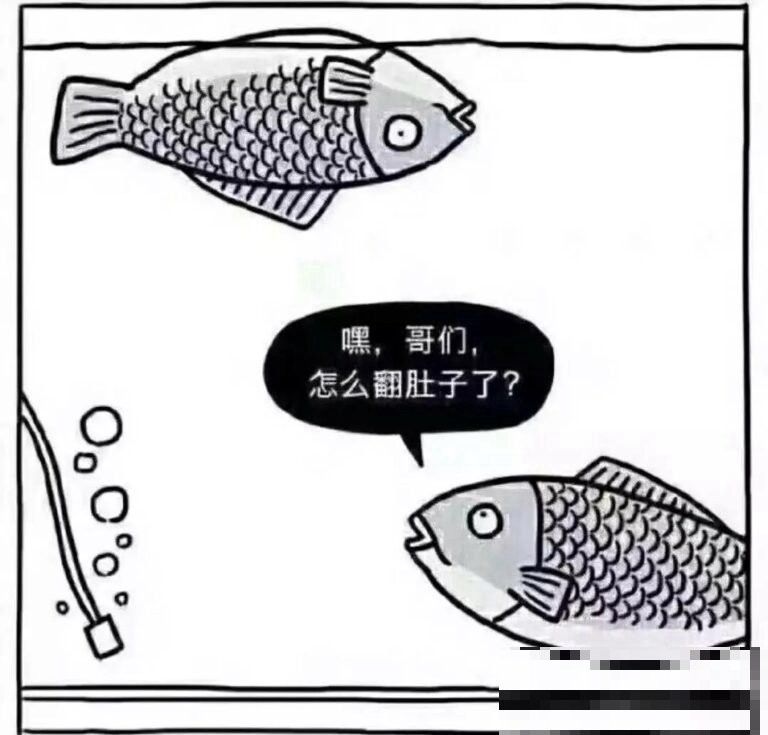 如何判斷龍魚是否失鰾
