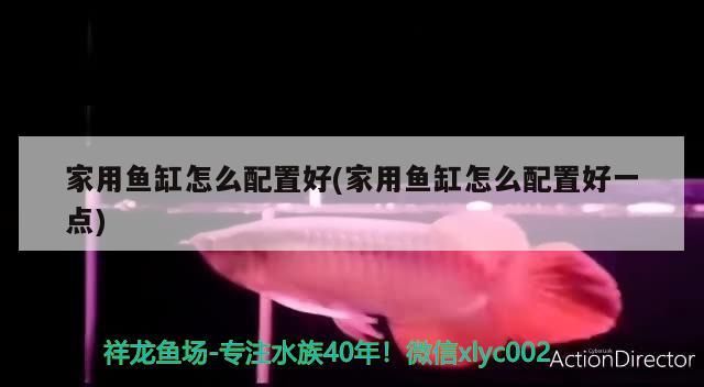 家用魚缸怎么配置好(家用魚缸怎么配置好一點)