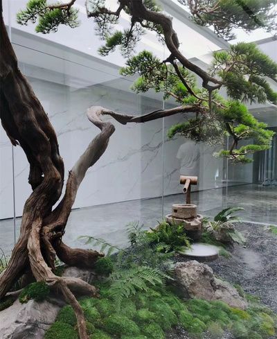 常州水族批發(fā)市場(chǎng)：常州水族批發(fā)市場(chǎng)在常州水族批發(fā)市場(chǎng)有哪些水族市場(chǎng)