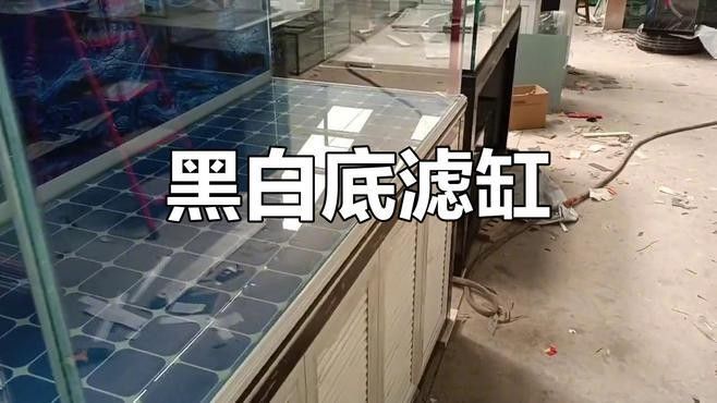 推薦幾款適合白底黑背景的魚缸