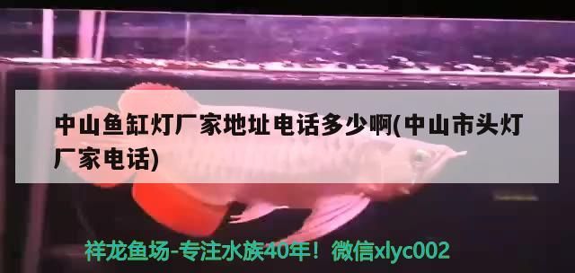 中山魚缸燈廠家地址電話多少啊(中山市頭燈廠家電話)