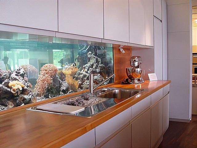 風水師如何調整魚缸位置以化解煞氣