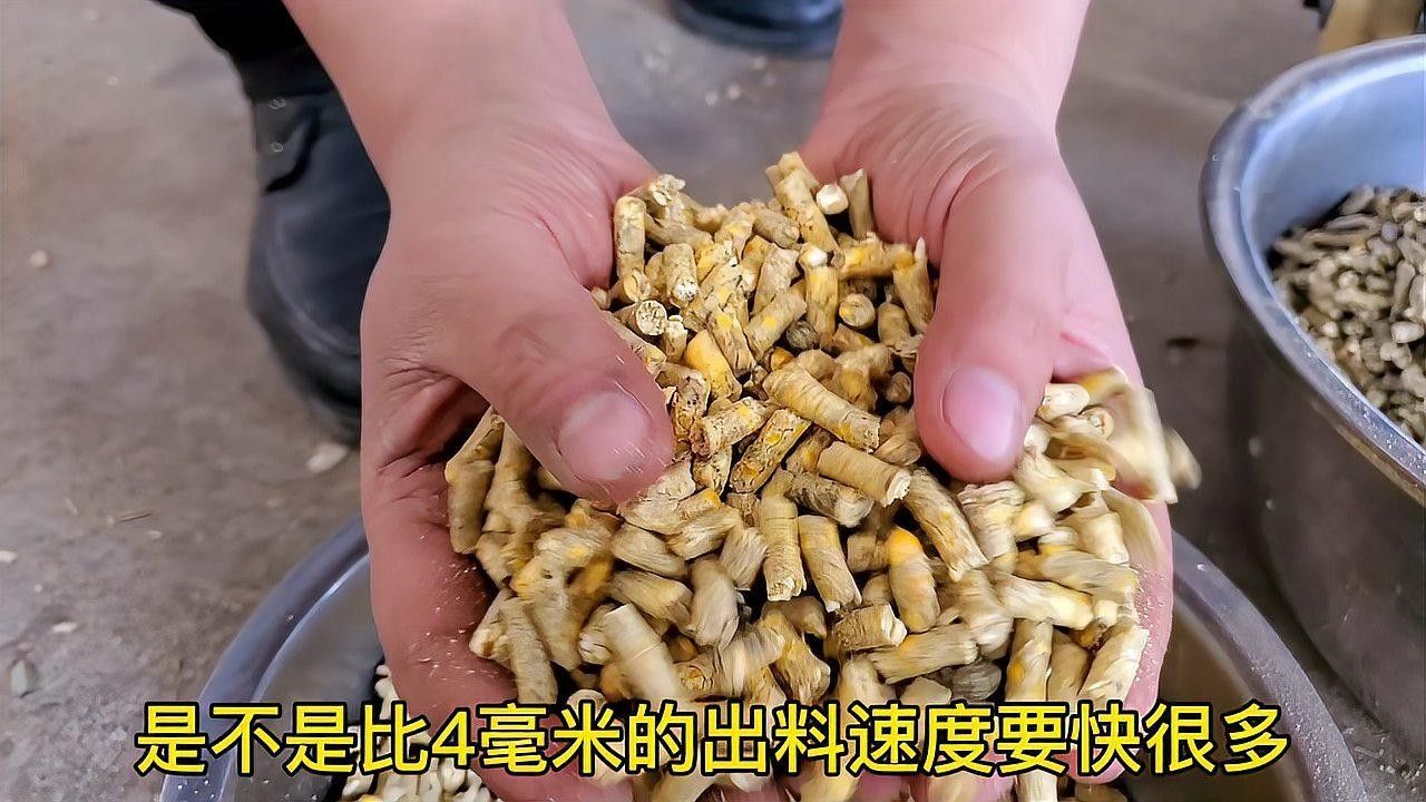 如何逐步混合新舊飼料