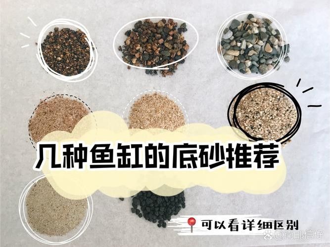 有哪些底砂適合雷龍魚