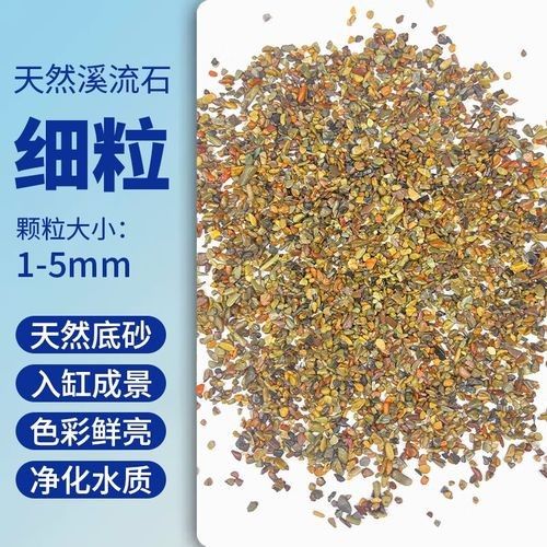有哪些底砂適合雷龍魚