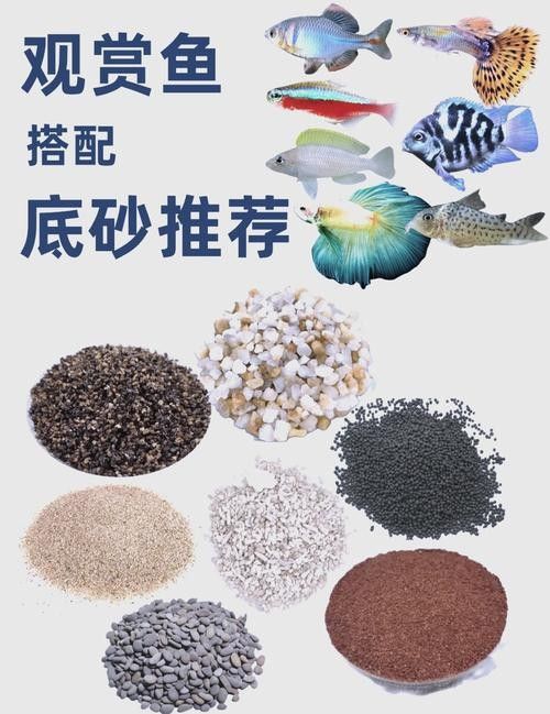 有哪些底砂適合雷龍魚