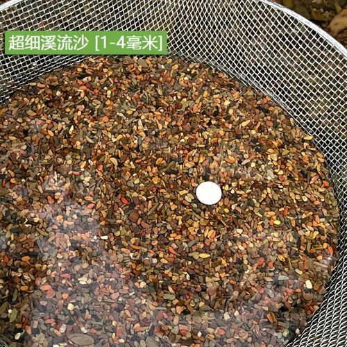 有哪些底砂適合雷龍魚