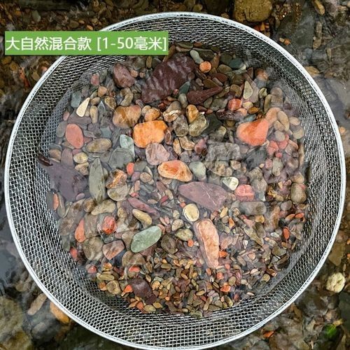 有哪些底砂適合雷龍魚