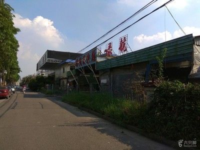 芳村花鳥魚市場搬到哪里去了：廣州芳村花鳥魚蟲市場搬遷 芳村花鳥魚市場搬到哪里去了：廣州芳村花鳥魚蟲市場搬遷 觀賞魚百科 第1張