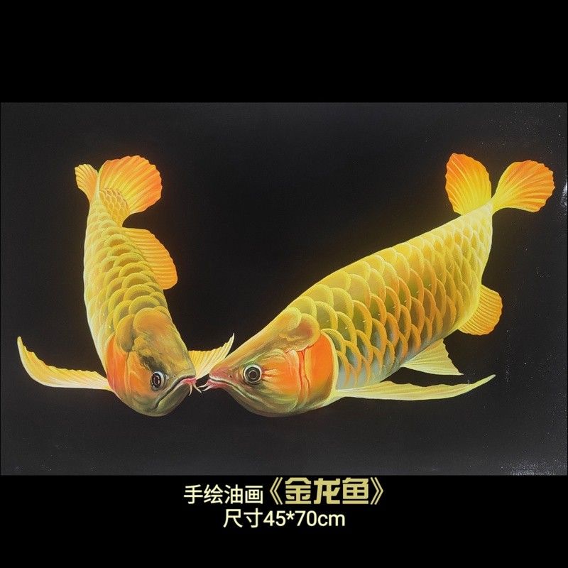 金龍魚高清大圖有哪些尺寸可選？