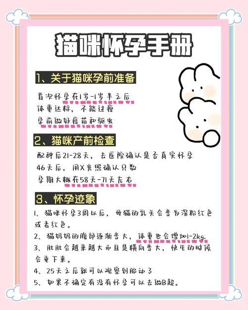 懷孕母貓產后如何護理？（佩特汪，母貓“產后”如何護理，別草率了事）