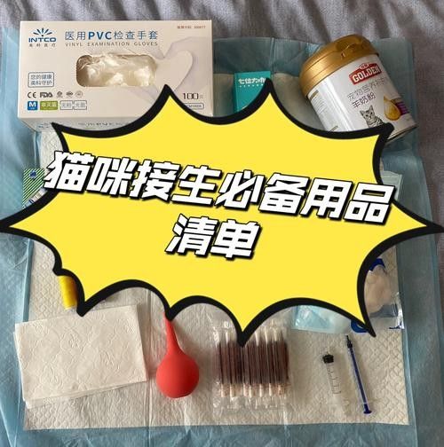 懷孕母貓產后如何護理？（佩特汪，母貓“產后”如何護理，別草率了事）