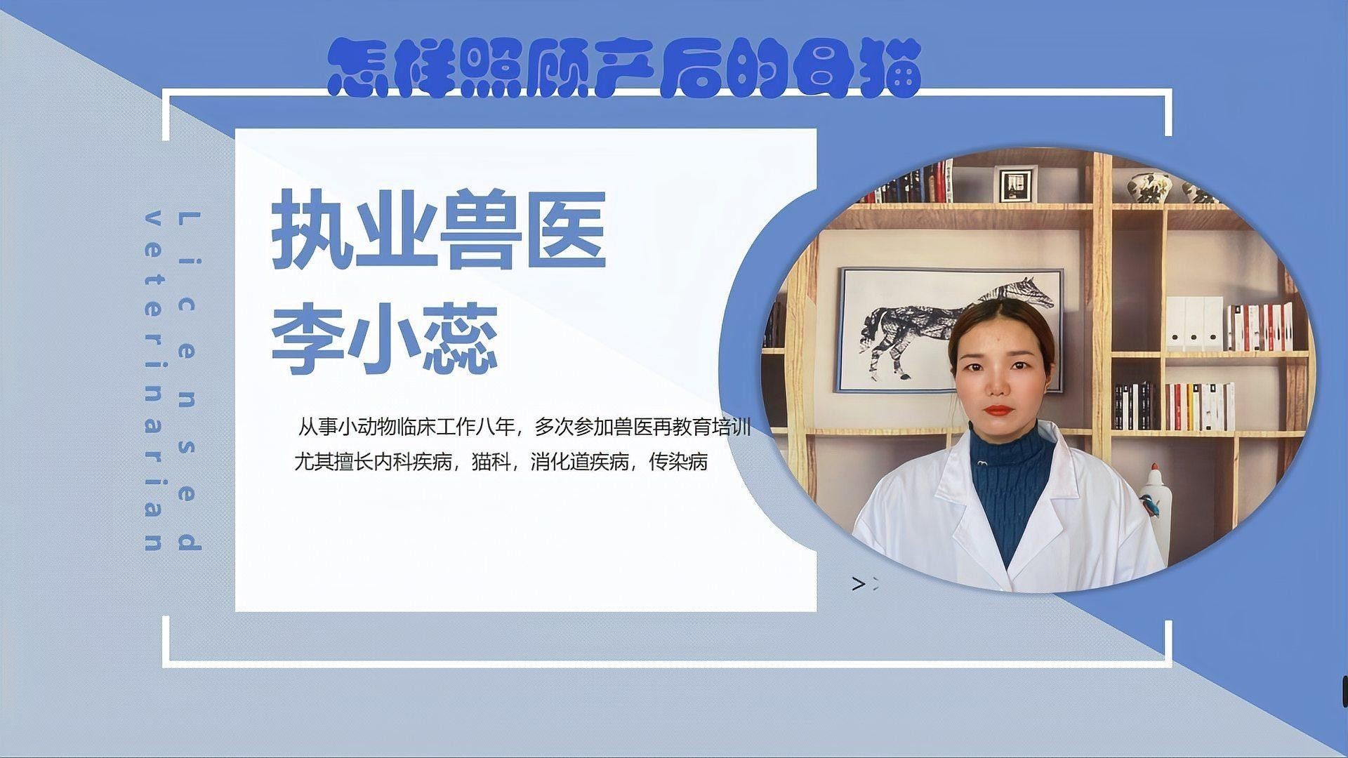 懷孕母貓產后如何護理？（佩特汪，母貓“產后”如何護理，別草率了事）