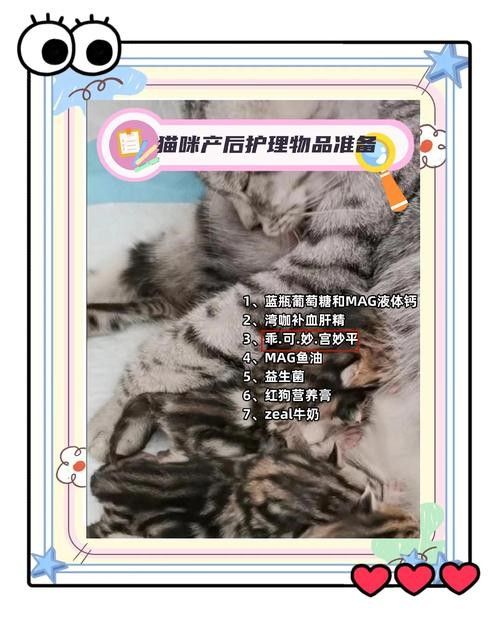 懷孕母貓產后如何護理？（佩特汪，母貓“產后”如何護理，別草率了事）