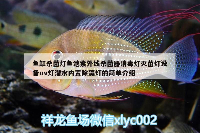 魚缸殺菌燈魚池紫外線殺菌器消毒燈滅菌燈設(shè)備uv燈潛水內(nèi)置除藻燈的簡(jiǎn)單介紹
