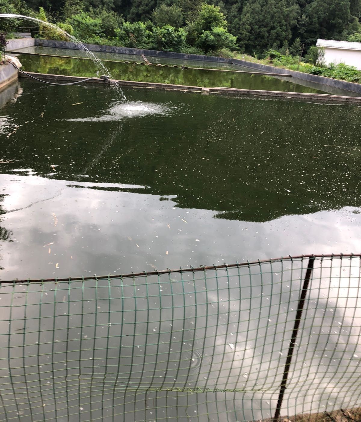 巴中龍魚養殖場的具體地址