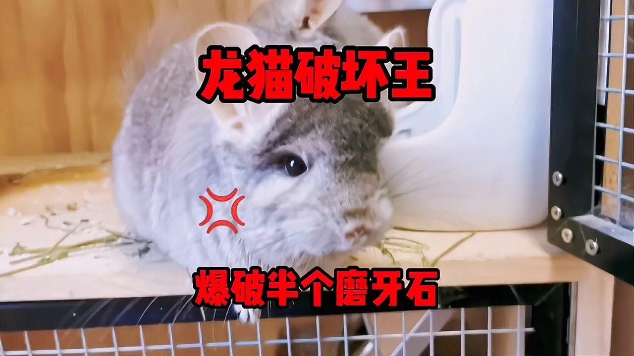 花地灣祥龍魚場營業時間是幾點：花地灣祥龍魚場營業時間探秘（了解花地灣祥龍魚場的營業時間）