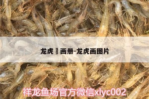 龍虎犳畫冊(cè):龍虎畫圖片 龍虎犳畫冊(cè):龍虎畫圖片 觀賞魚百科