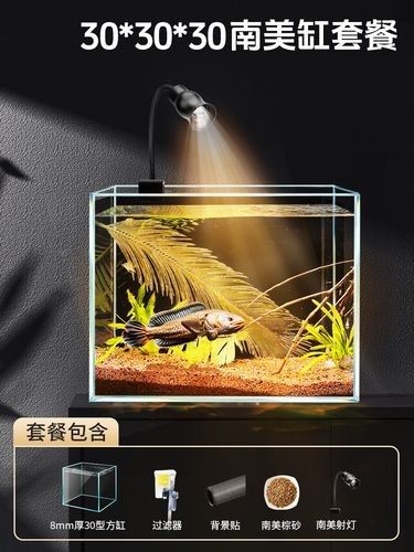 有哪些品牌雷龍魚(yú)過(guò)濾器推薦？（雷龍魚(yú)過(guò)濾器品牌推薦及產(chǎn)品分析及產(chǎn)品分析及產(chǎn)品分析） 有哪些品牌雷龍魚(yú)過(guò)濾器推薦？（雷龍魚(yú)過(guò)濾器品牌推薦及產(chǎn)品分析及產(chǎn)品分析及產(chǎn)品分析） 龍魚(yú)百科 第2張