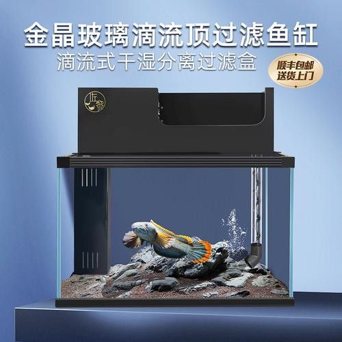 有哪些品牌雷龍魚(yú)過(guò)濾器推薦？（雷龍魚(yú)過(guò)濾器品牌推薦及產(chǎn)品分析及產(chǎn)品分析及產(chǎn)品分析） 有哪些品牌雷龍魚(yú)過(guò)濾器推薦？（雷龍魚(yú)過(guò)濾器品牌推薦及產(chǎn)品分析及產(chǎn)品分析及產(chǎn)品分析） 龍魚(yú)百科 第3張