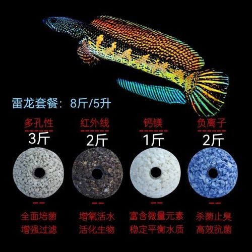 有哪些品牌雷龍魚(yú)過(guò)濾器推薦？（雷龍魚(yú)過(guò)濾器品牌推薦及產(chǎn)品分析及產(chǎn)品分析及產(chǎn)品分析） 有哪些品牌雷龍魚(yú)過(guò)濾器推薦？（雷龍魚(yú)過(guò)濾器品牌推薦及產(chǎn)品分析及產(chǎn)品分析及產(chǎn)品分析） 龍魚(yú)百科 第5張