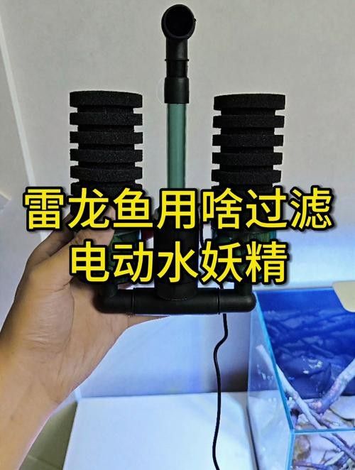 有哪些品牌雷龍魚(yú)過(guò)濾器推薦？（雷龍魚(yú)過(guò)濾器品牌推薦及產(chǎn)品分析及產(chǎn)品分析及產(chǎn)品分析） 有哪些品牌雷龍魚(yú)過(guò)濾器推薦？（雷龍魚(yú)過(guò)濾器品牌推薦及產(chǎn)品分析及產(chǎn)品分析及產(chǎn)品分析） 龍魚(yú)百科 第4張