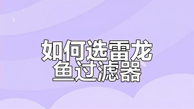有哪些品牌雷龍魚(yú)過(guò)濾器推薦？（雷龍魚(yú)過(guò)濾器品牌推薦及產(chǎn)品分析及產(chǎn)品分析及產(chǎn)品分析） 有哪些品牌雷龍魚(yú)過(guò)濾器推薦？（雷龍魚(yú)過(guò)濾器品牌推薦及產(chǎn)品分析及產(chǎn)品分析及產(chǎn)品分析） 龍魚(yú)百科 第7張