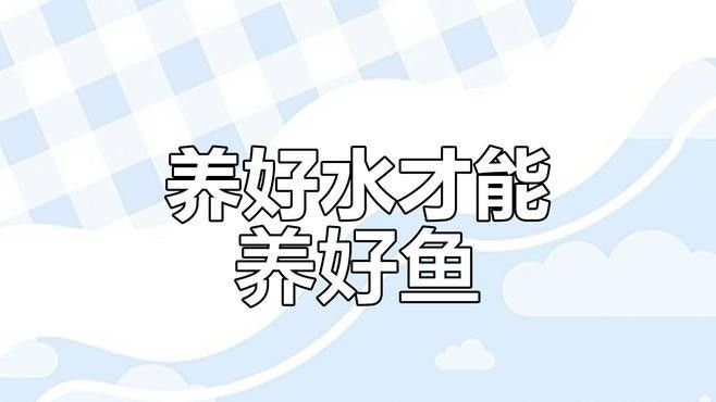 如何預防魚缸再次滋生細菌（北漂魚缸水質管理全攻略:魚缸水質管理全攻略）